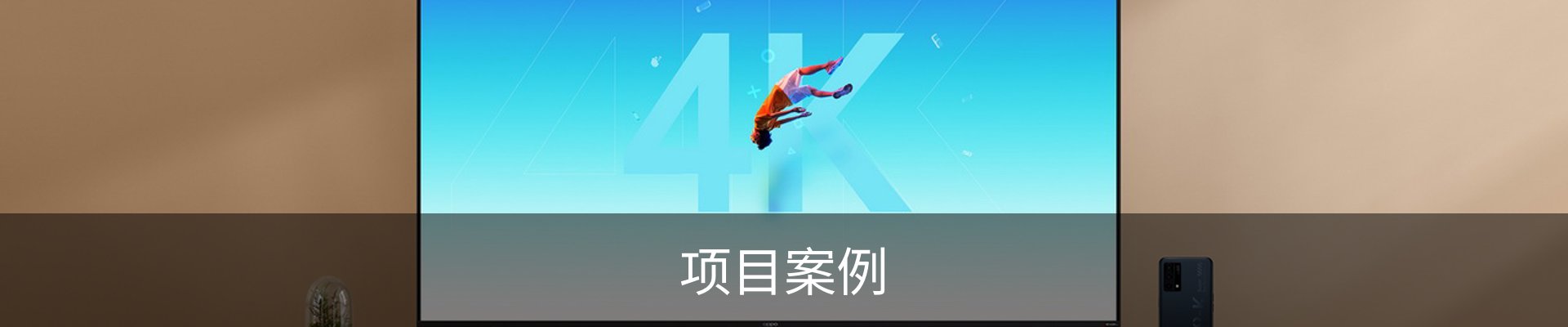 项目案例